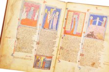 Corsiniana Mirror of Human Salvation – Istituto dell'Enciclopedia Italiana - Treccani – MS Rossi 17 (55.K.2) – Biblioteca dell'Accademia Nazionale dei Lincei e Corsiniana (Rome, Italy)