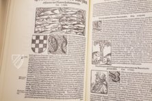 Cosmographia – Res/2 Geo.u. 64 t – Bayerische Staatsbibliothek (Munich, Germany) Facsimile Edition