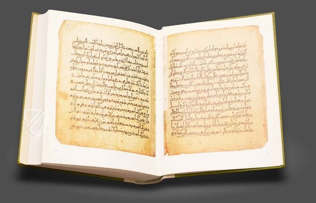 Abu Mansur Muwaffak ibn Ali al-Harawi: The Foundations of the True Properties of Remedies – Akademische Druck- u. Verlagsanstalt (ADEVA) – Cod. A. F. 340 – Österreichische Nationalbibliothek (Vienna, Austria)