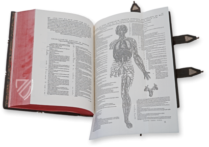 Andreas Vesalius: De Humani Corporis Fabrica – Pytheas Books – 548.i.2.(1) – British Library (London, United Kingdom)