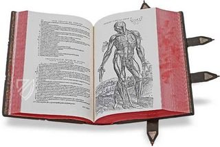 Andreas Vesalius: De Humani Corporis Fabrica – Pytheas Books – 548.i.2.(1) – British Library (London, United Kingdom)