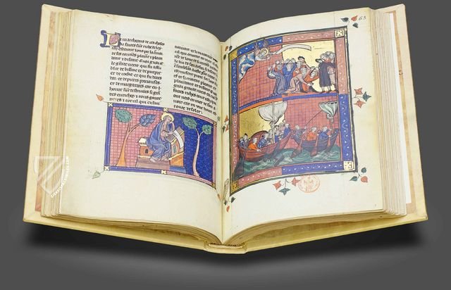 Apocalypse of 1313 – M. Moleiro Editor – Français 13096 – Bibliothèque nationale de France (Paris, France)