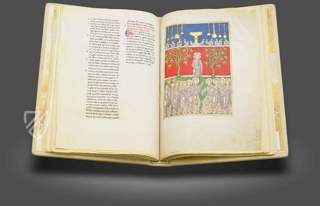 Beatus of Liébana - San Pedro de Cardena Codex Facsimile Edition