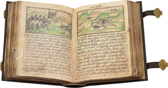 Bestiary of John of Austria – Siloé, arte y bibliofilia – Monasterio de Santa Maria de la Vid (Burgos, Spain)