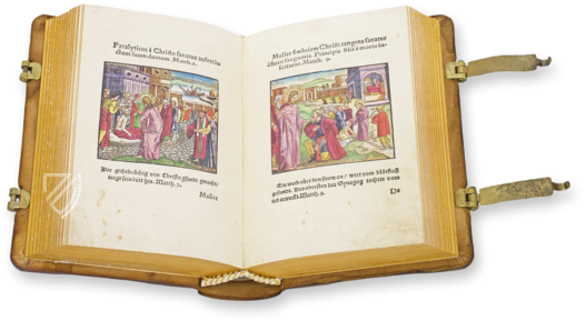 Biblia Veteris Testamenti – Orbis Pictus – 