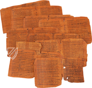 Bodmer VIII Papyrus - Epistles of St. Peter – Testimonio Compañía Editorial – Ex Papyro Bodmeriana VIII Transcriptae P72 – Biblioteca Apostolica Vaticana (Vatican City, State of the Vatican City)