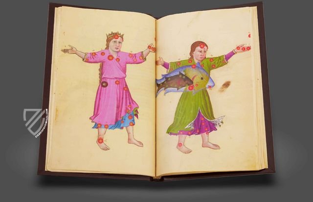 Book of Fixed Stars of Alfonso the Wise – Patrimonio Ediciones – Ms. 78D12 – Kupferstichkabinett Staatliche Museen (Berlin, Germany)