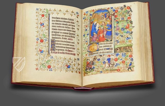 Book of Hours of Marguerite d’Orléans – Quaternio Verlag Luzern – Ms. latin 1156B – Bibliothèque nationale de France (Paris, France)