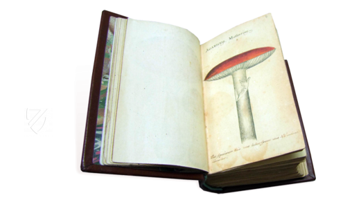 Book of Mushrooms – Siloé, arte y bibliofilia – Private Collection