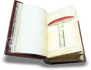 Book of Mushrooms Facsimile Edition