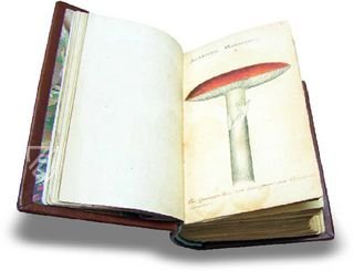 Book of Mushrooms – Siloé, arte y bibliofilia – Private Collection