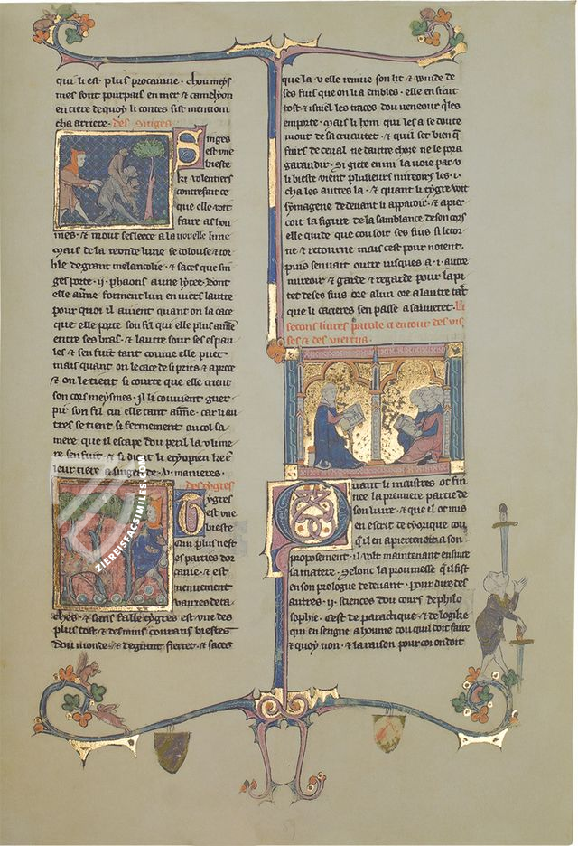 Book of Treasures – M. Moleiro Editor – Fr. F. v. III, 4 – National Library of Russia (St. Petersburg, Russia) Book of Treasures – M. Moleiro Editor – Fr. F. v. III, 4 – National Library of Russia (St. Petersburg, Russia)