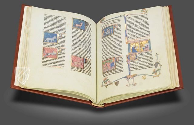 Book of Treasures Facsimile Edition