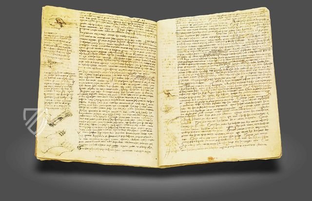 Codex Hammer – Giunti Editore – Bill Gates Collection (Seattle, USA)