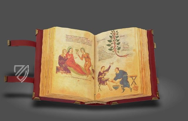 Codex of Medicine of Frederick II – Patrimonio Ediciones – Ms. Plut. 73.16 – Biblioteca Medicea Laurenziana (Florence, Italy)