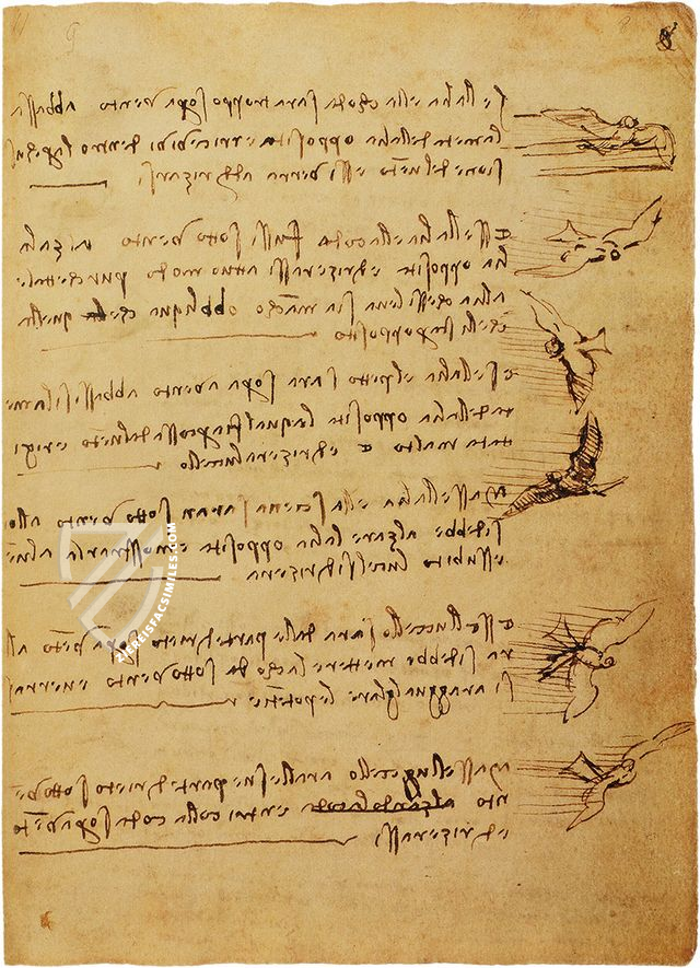 Leonardo da Vinci: Codex on the Flight of Birds – Collezione Apocrifa Da Vinci – Biblioteca Reale di Torino (Turin, Italy)