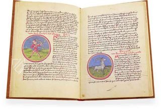 Codex Schürstab Facsimile Edition
