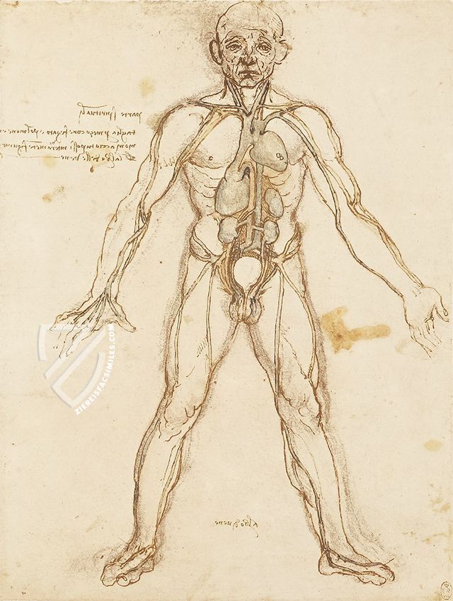 Corpus of the Anatomical Studies – Giunti Editore – Royal Library at Windsor Castle (Windsor, United Kingdom) Corpus of the Anatomical Studies – Giunti Editore – Royal Library at Windsor Castle (Windsor, United Kingdom)
