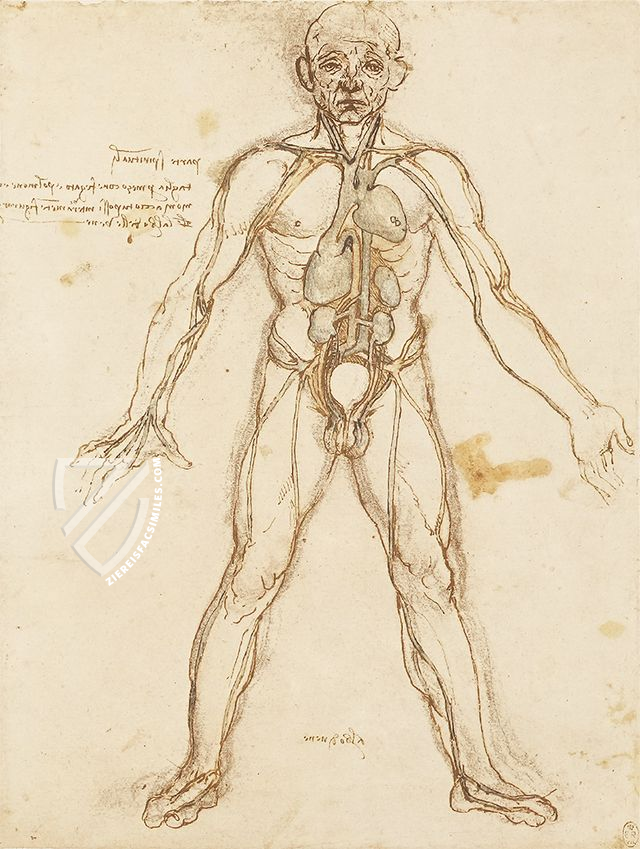 Corpus of the Anatomical Studies – Giunti Editore – Royal Library at Windsor Castle (Windsor, United Kingdom)