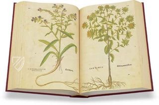 De Historia Stirpium - Leonhart Fuchs – Aboca Museum – Biblioteca Antiqua di Aboca Museum (Sansepolcro, Italy)