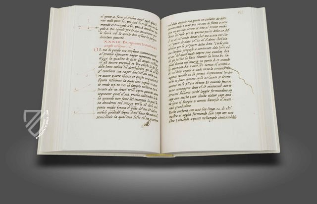 De Viribus Quantitatis – Aboca Museum – Ms. 250 – Biblioteca Universitaria di Bologna (Bologna, Italy)