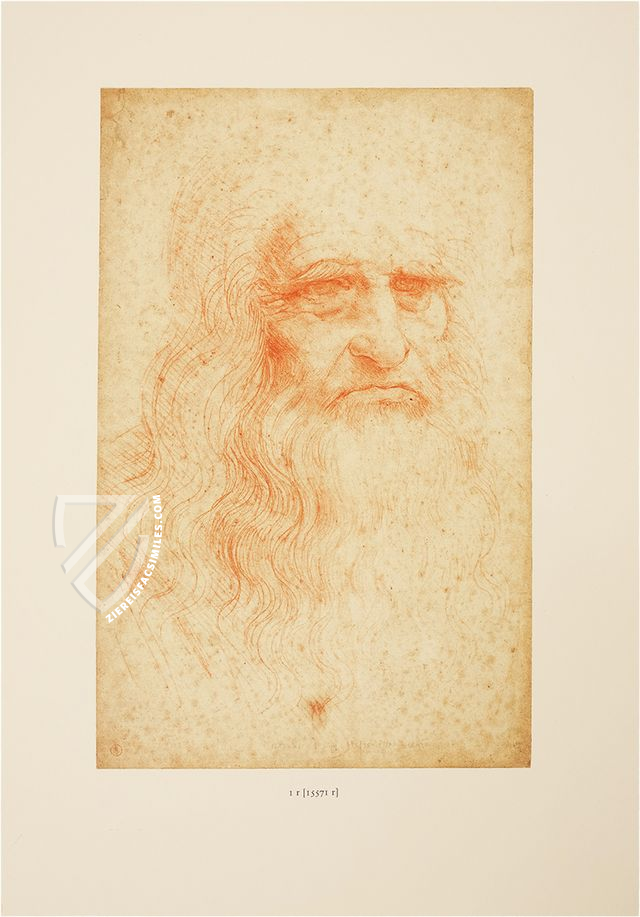 Drawings of Leonardo da Vinci and His circle - Biblioteca Reale in Turin – Giunti Editore – Biblioteca Reale di Torino (Turin, Italy)