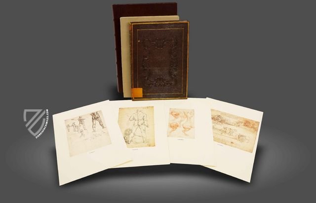 Drawings of Leonardo da Vinci and His circle - Biblioteca Reale in Turin – Giunti Editore – Biblioteca Reale di Torino (Turin, Italy)