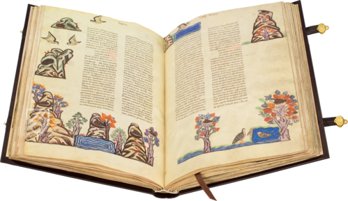 The Art of Falconry by Frederick II – Testimonio Compañía Editorial – Pal. Lat. 1071 – Biblioteca Apostolica Vaticana (Vatican City, State of the Vatican City)