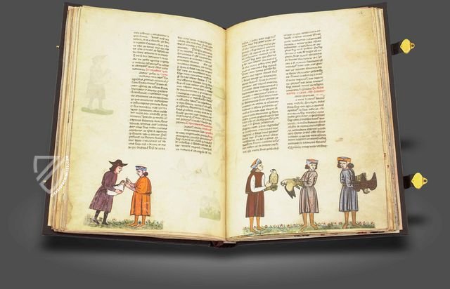 The Art of Falconry by Frederick II – Testimonio Compañía Editorial – Pal. Lat. 1071 – Biblioteca Apostolica Vaticana (Vatican City, State of the Vatican City)