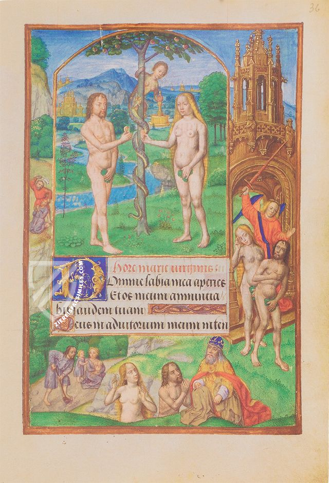 Flemish Book of Hours of Marie de Medici – Quaternio Verlag Luzern – Ms. Douce 112 – Bodleian Library (Oxford, United Kingdom)