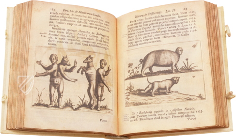 De Monstris – Siloé, arte y bibliofilia – Private Collection