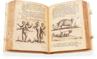 De Monstris – Siloé, arte y bibliofilia – Private Collection