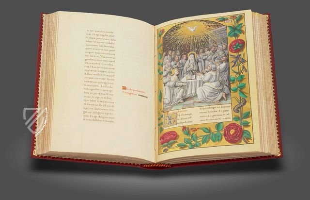 Gospel Book of Charles d'Orléans, Count of Angoulême Facsimile Edition