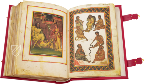Greek Dioscorides – Testimonio Compañía Editorial – Chig. F.VII.1590 – Biblioteca Apostolica Vaticana (Vatican City, State of the Vatican City)
