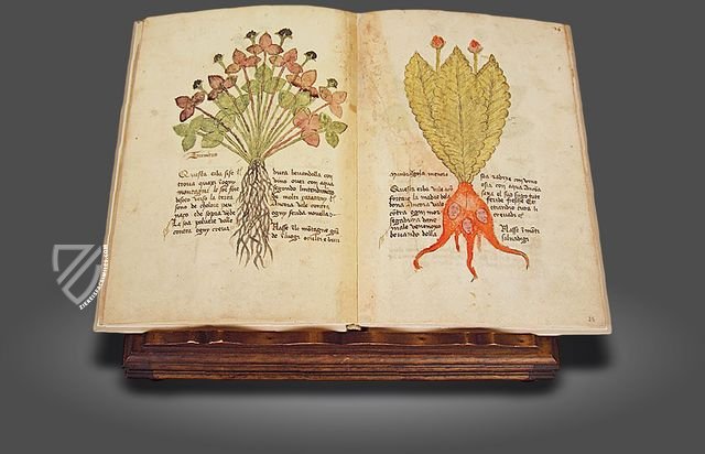 Herbarium of Trento – Priuli & Verlucca, editori – Castello del Buonconsiglio (Trento, Italy)