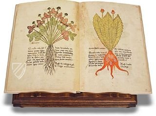 Herbarium of Trento – Priuli & Verlucca, editori – Castello del Buonconsiglio (Trento, Italy)