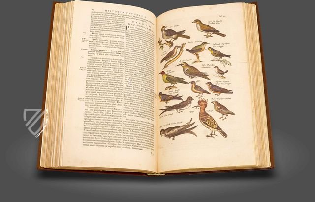 Historia Naturalis: De Avibus Facsimile Edition