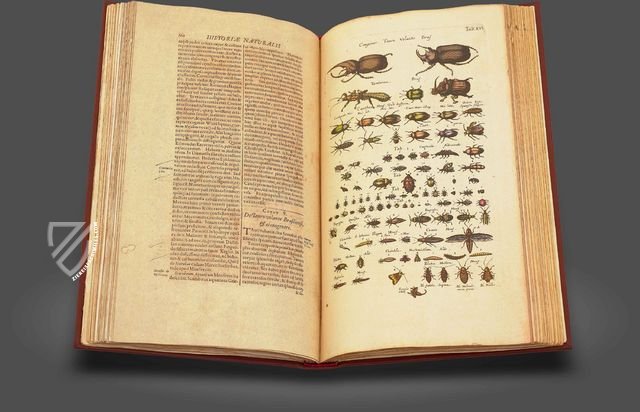 Historia Naturalis: De Insectis Facsimile Edition