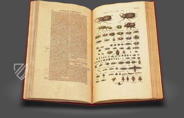 Historia Naturalis: De Insectis – Siloé, arte y bibliofilia – Private Collection