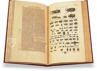 Historia Naturalis: De Insectis – Siloé, arte y bibliofilia – Private Collection