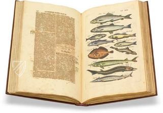 Historia Naturalis: De Piscibus et Cetis Facsimile Edition