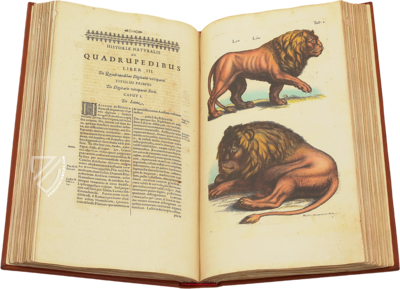 Historia Naturalis: De Quadrupedibus – Siloé, arte y bibliofilia – Private Collection