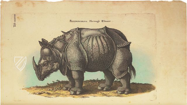 Historia Naturalis: De Quadrupedibus – Siloé, arte y bibliofilia – Private Collection Historia Naturalis: De Quadrupedibus – Siloé, arte y bibliofilia – Private Collection
