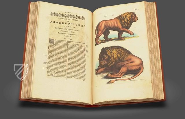 Historia Naturalis: De Quadrupedibus – Siloé, arte y bibliofilia – Private Collection