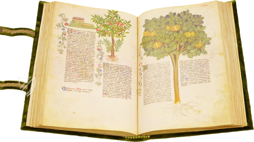 Historia Plantarum Facsimile Edition