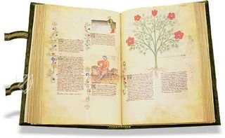 Historia Plantarum – Franco Cosimo Panini Editore – Ms. 459 – Biblioteca Casanatense (Rome, Italy)