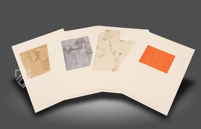 Leonardo da Vinci: Horses and Other Animals – Johnson Reprint – Royal Library at Windsor Castle (Windsor, United Kingdom)