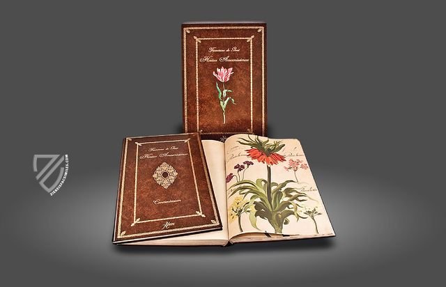 Hortus amoenissimus... by Franciscus de Geest Facsimile Edition