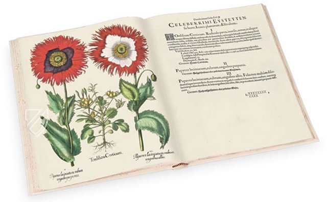 Hortus Eystettensis – Aboca Museum – SJ II 2892-2894 – Universitätsbibliothek (Eichstätt, Germany) Hortus Eystettensis – Aboca Museum – SJ II 2892-2894 – Universitätsbibliothek (Eichstätt, Germany)