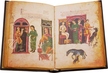 Medicina Antiqua Facsimile Edition